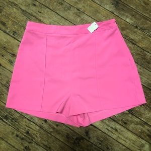 Jealous Tomato High waisted dress shorts